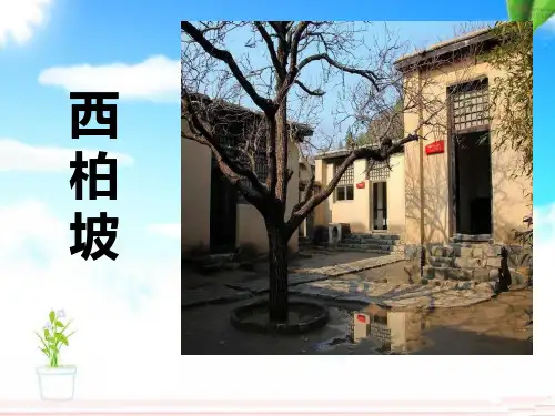 《西柏坡》ppt课件