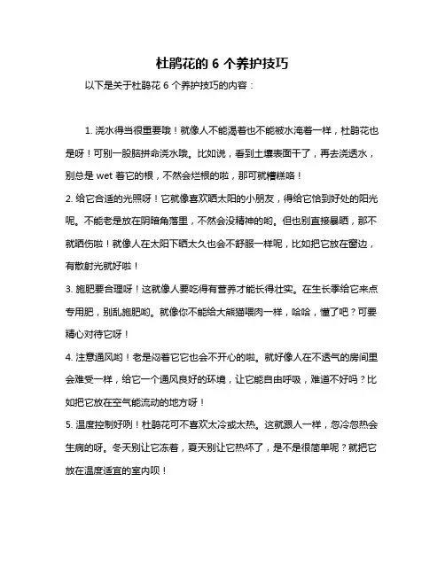 杜鹃花的6个养护技巧