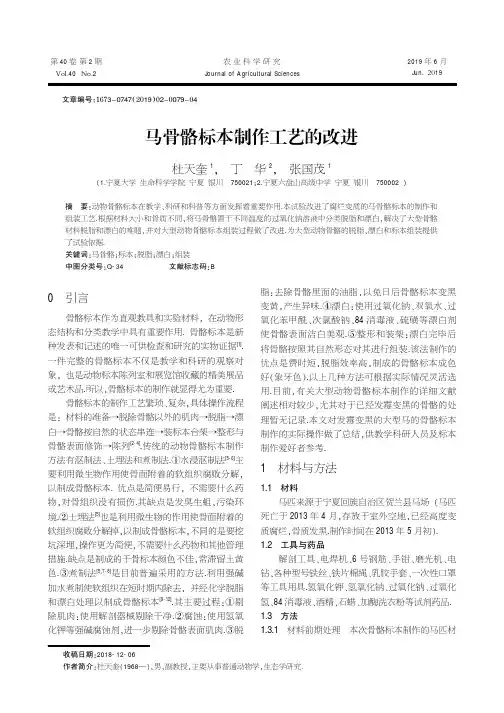 马骨骼标本制作工艺的改进