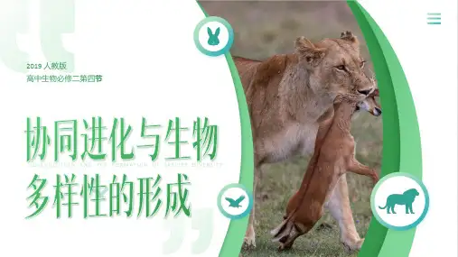 生物人教版(2019)必修二6.4协同进化与生物多样性的形成 课件