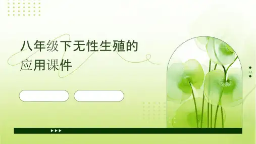 八年级下无性生殖的应用课件
