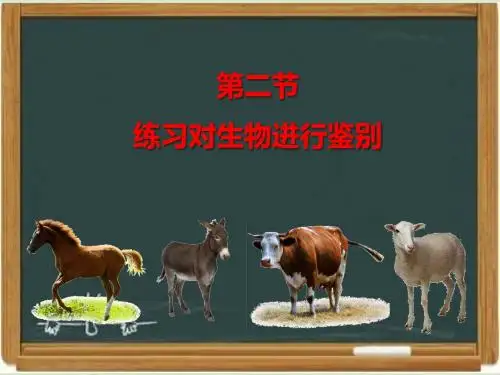 冀少版七年级生物上册《练习对生物进行鉴别》课件