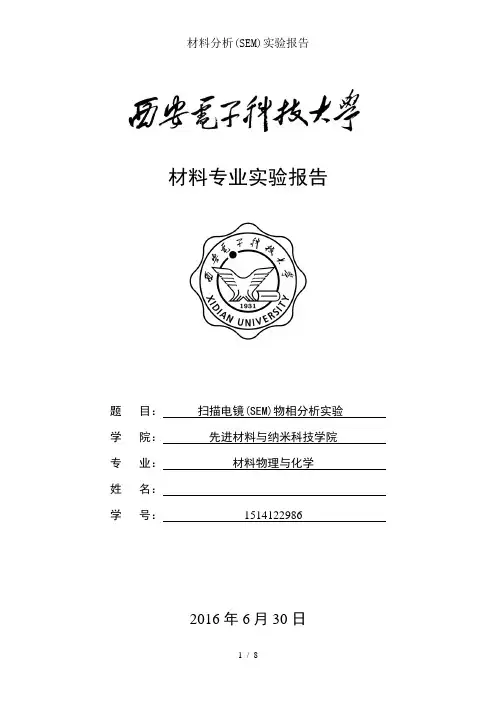 材料分析实验报告