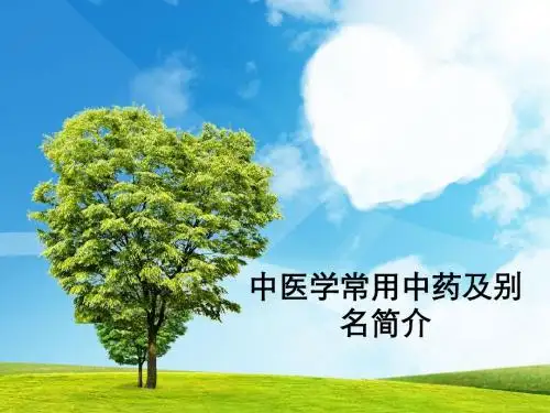 中医学常用中药及别名简介