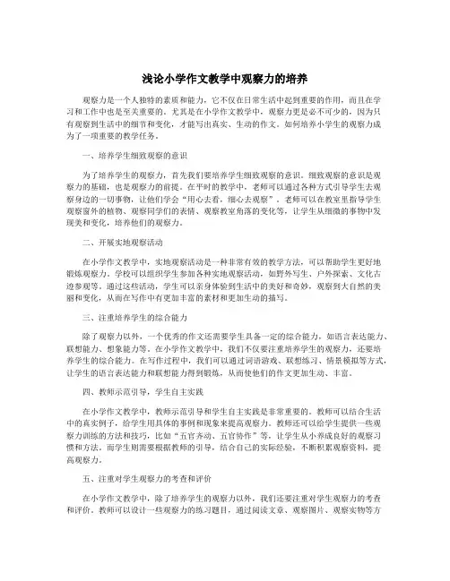 浅论小学作文教学中观察力的培养
