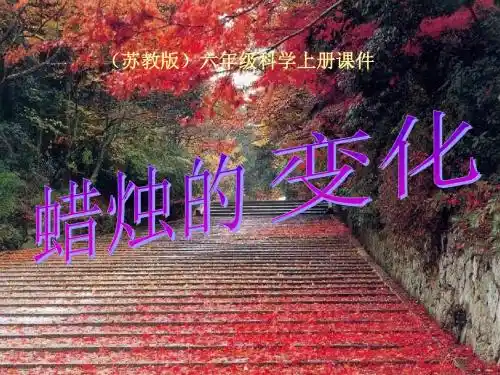 六年级科学上册蜡烛的变化ppt课件1苏教版