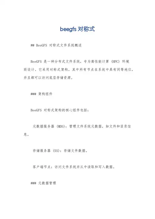 beegfs 对称式