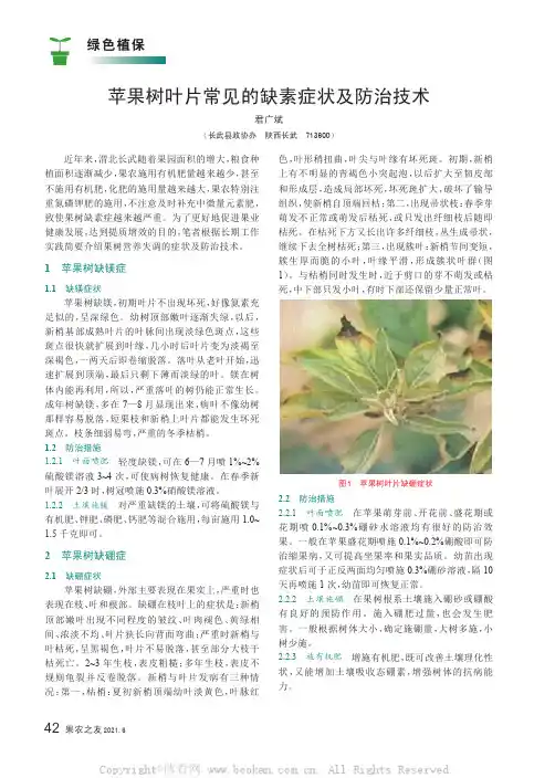 苹果树叶片常见的缺素症状及防治技术