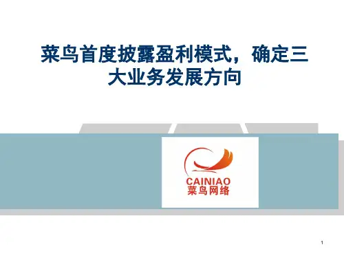 菜鸟盈利模式ppt课件