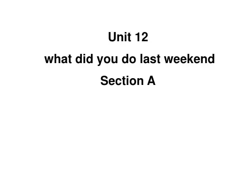 七下配套练习册 Unit 12 what did you do last weekend Section A