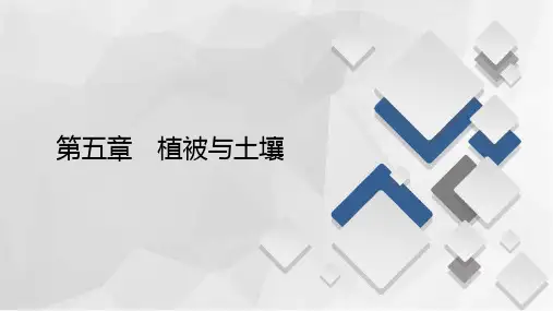 高一新教材地理人教版必修第一册课件：第5章第2节 土壤 课件(96张)