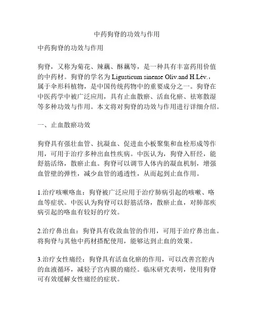 中药狗脊的功效与作用
