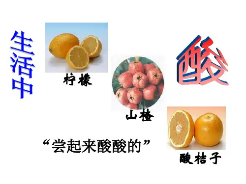 粤教版九年级化学下册8.1溶液的酸碱性课件