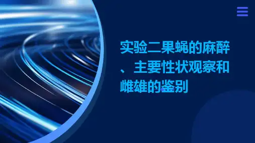 实验二果蝇的麻醉、主要性状观察和雌雄的鉴别