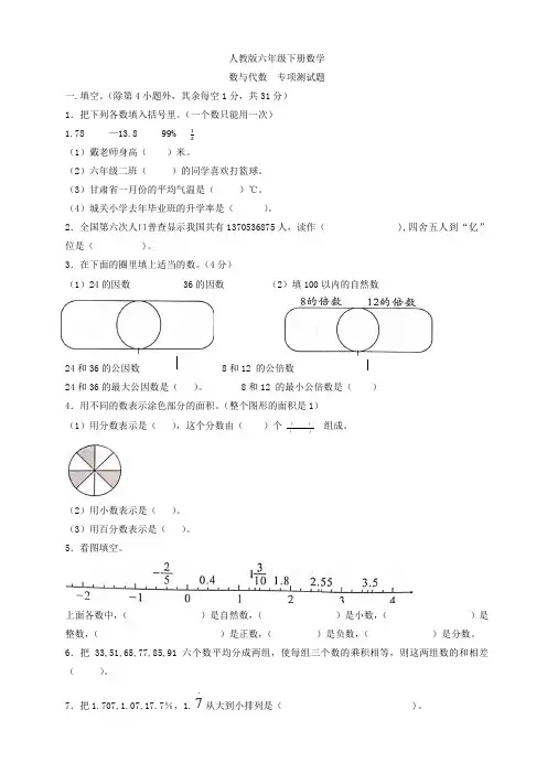 人教版六年级下册数学  数与代数  专项测试题