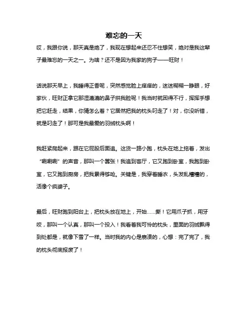 作文《难忘的一天》