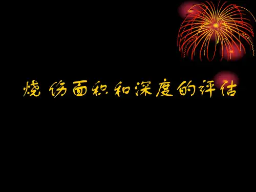 烧伤面积和深度的评估.