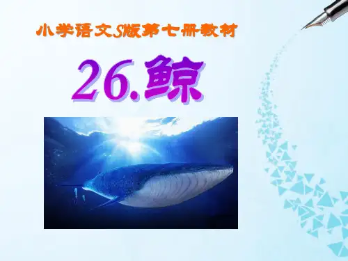S版四年级语文下册《鲸》教学PPT课件(2篇)