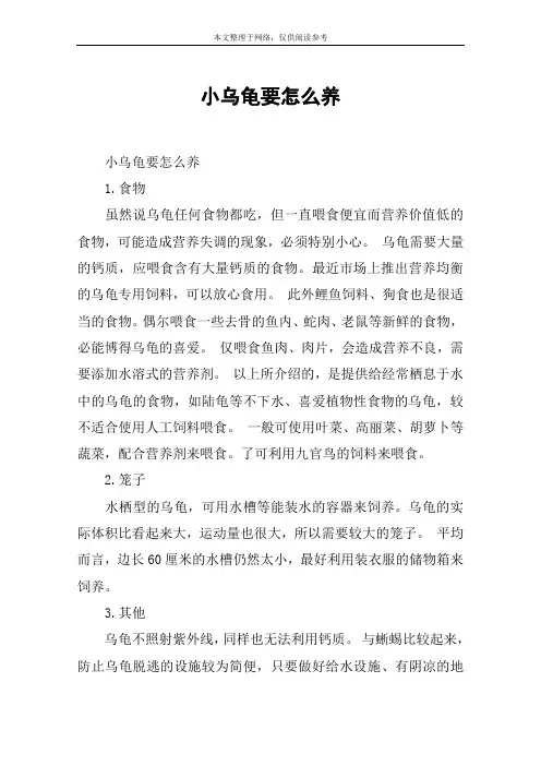 小乌龟要怎么养