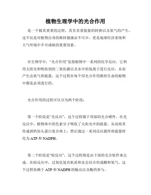 植物生理学中的光合作用