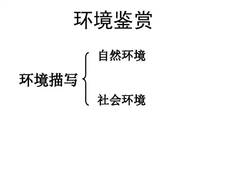 小说中的环境描写