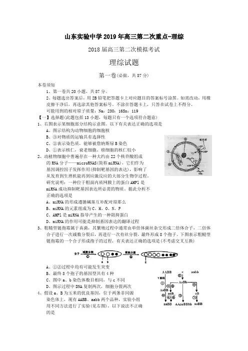 山东实验中学2019年高三第二次重点-理综