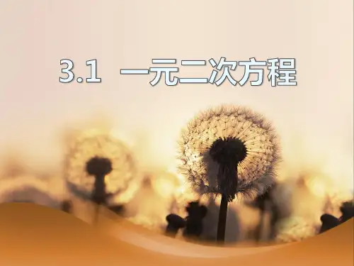 《一元二次方程》PPT课件