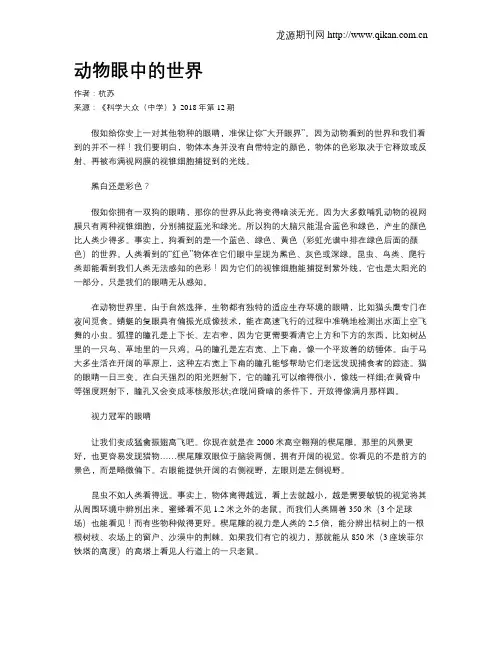 动物眼中的世界