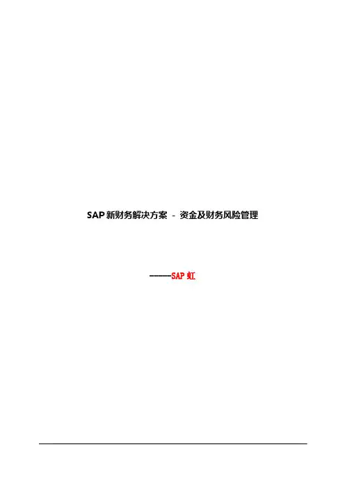 SAP新财务解决方案-资金及财务风险管理
