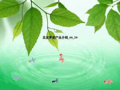 北京罗麦产品介绍