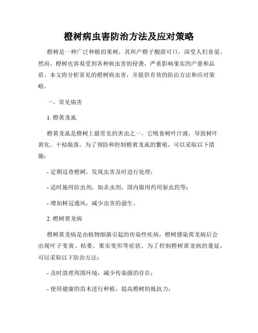 橙树病虫害防治方法及应对策略