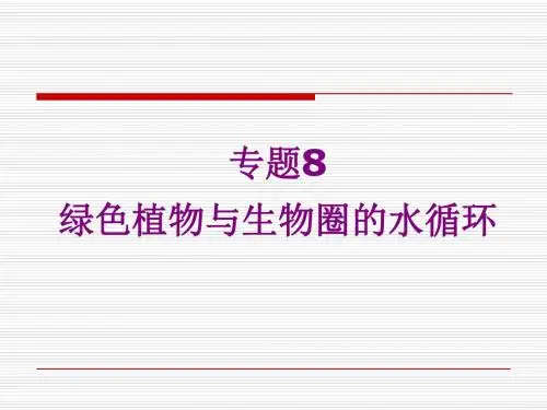 专题9 绿色植物和生物圈的水循环