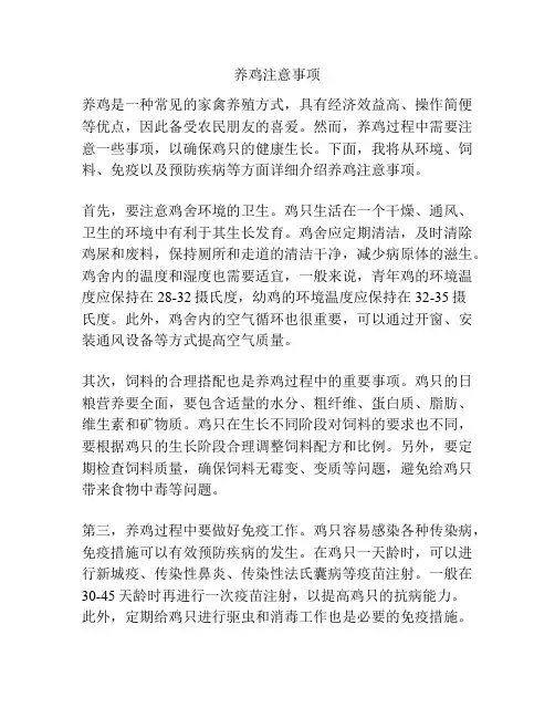 养鸡注意事项