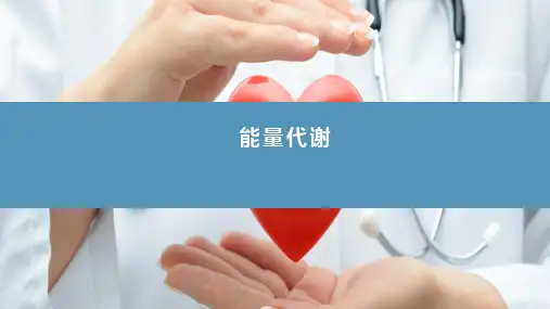 能量代谢和体温(生理学课件)