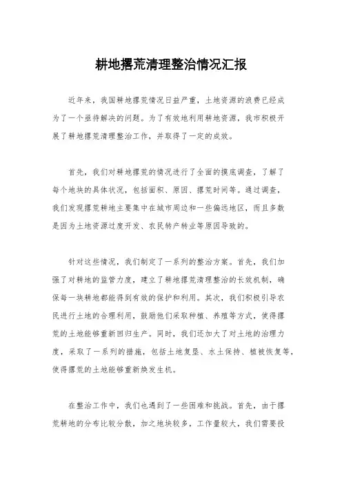 耕地撂荒清理整治情况汇报