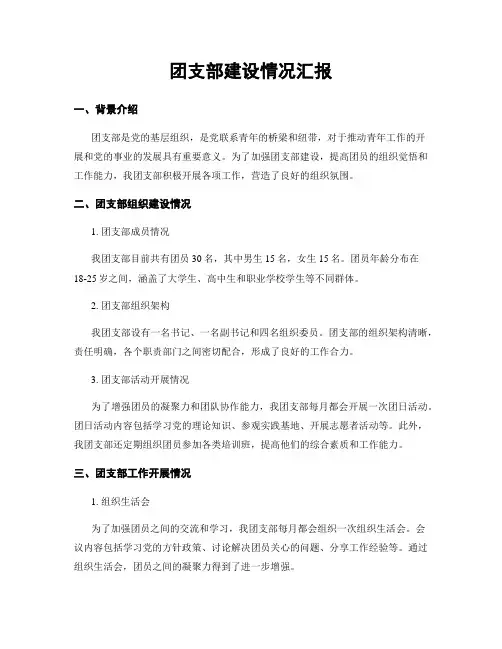 团支部建设情况汇报