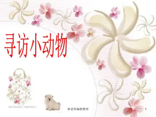 教科小学科学三上《2.1、寻访小动物》PPT课件(12)