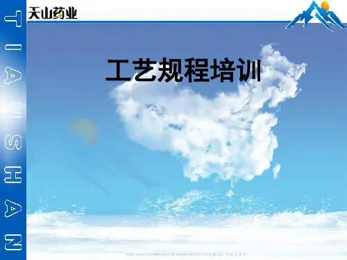 工艺规程、批生产记录培训材料