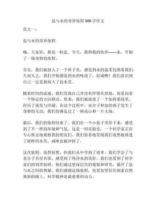 盐与水的奇异旅程800字作文