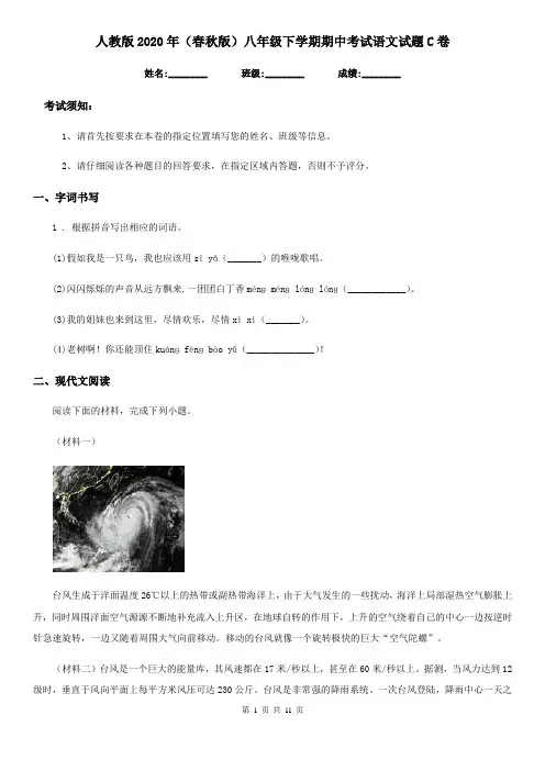 人教版2020年(春秋版)八年级下学期期中考试语文试题C卷(测试)