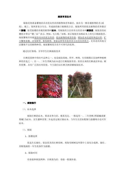 嫁接育苗技术课件