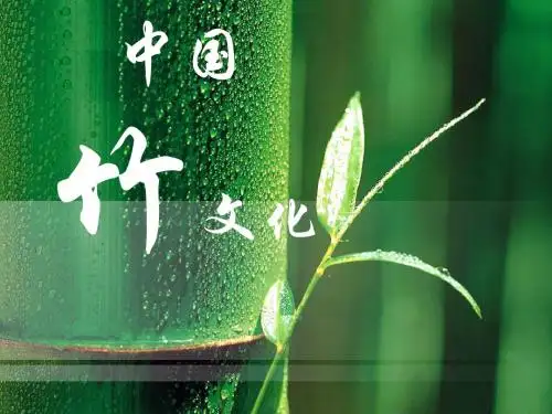六年级下册美术课件-10课素材  中国竹文化_浙美版