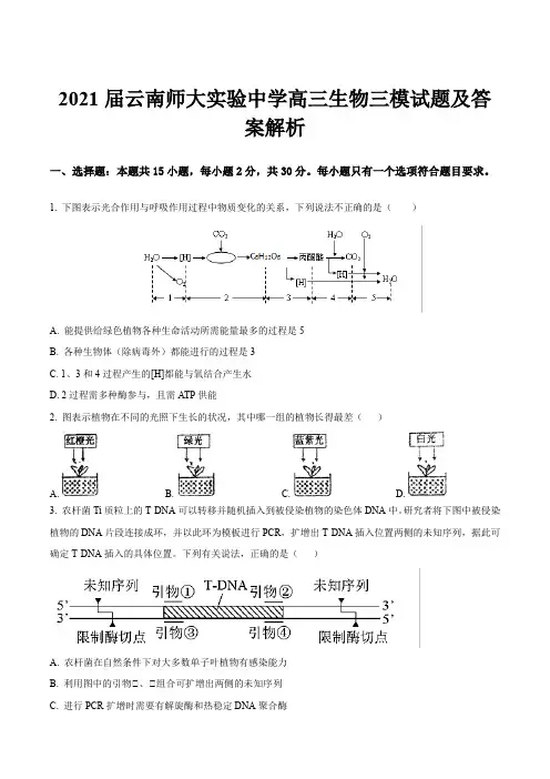 2021届云南师大实验中学高三生物三模试题及答案解析