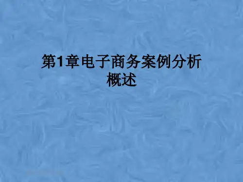 第1章电子商务案例分析概述