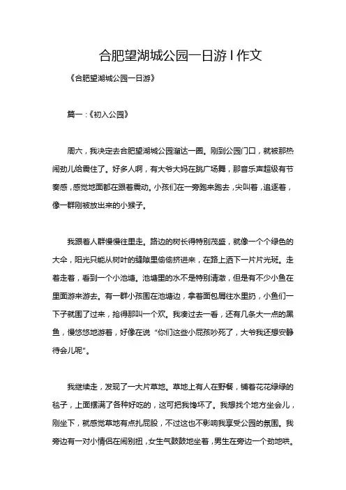 合肥望湖城公园一日游l作文