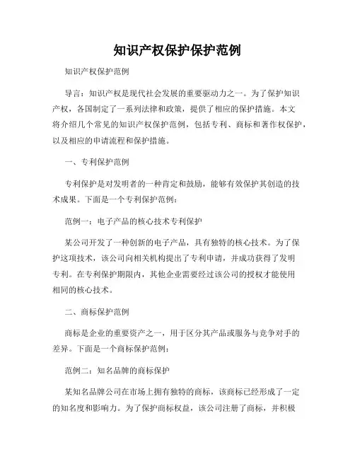 知识产权保护保护范例