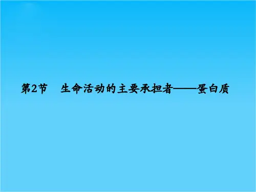 高考生物第一轮复习 第2节 生命活动的主要承担者——蛋白质精品课件 新人教版必修1