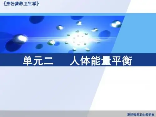 人体能量平衡