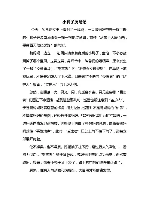 五年级作文：小鸭子历险记作文500字