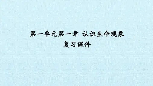 济南版七年级生物上册：第一单元  第一章   认识生命现象  复习课件